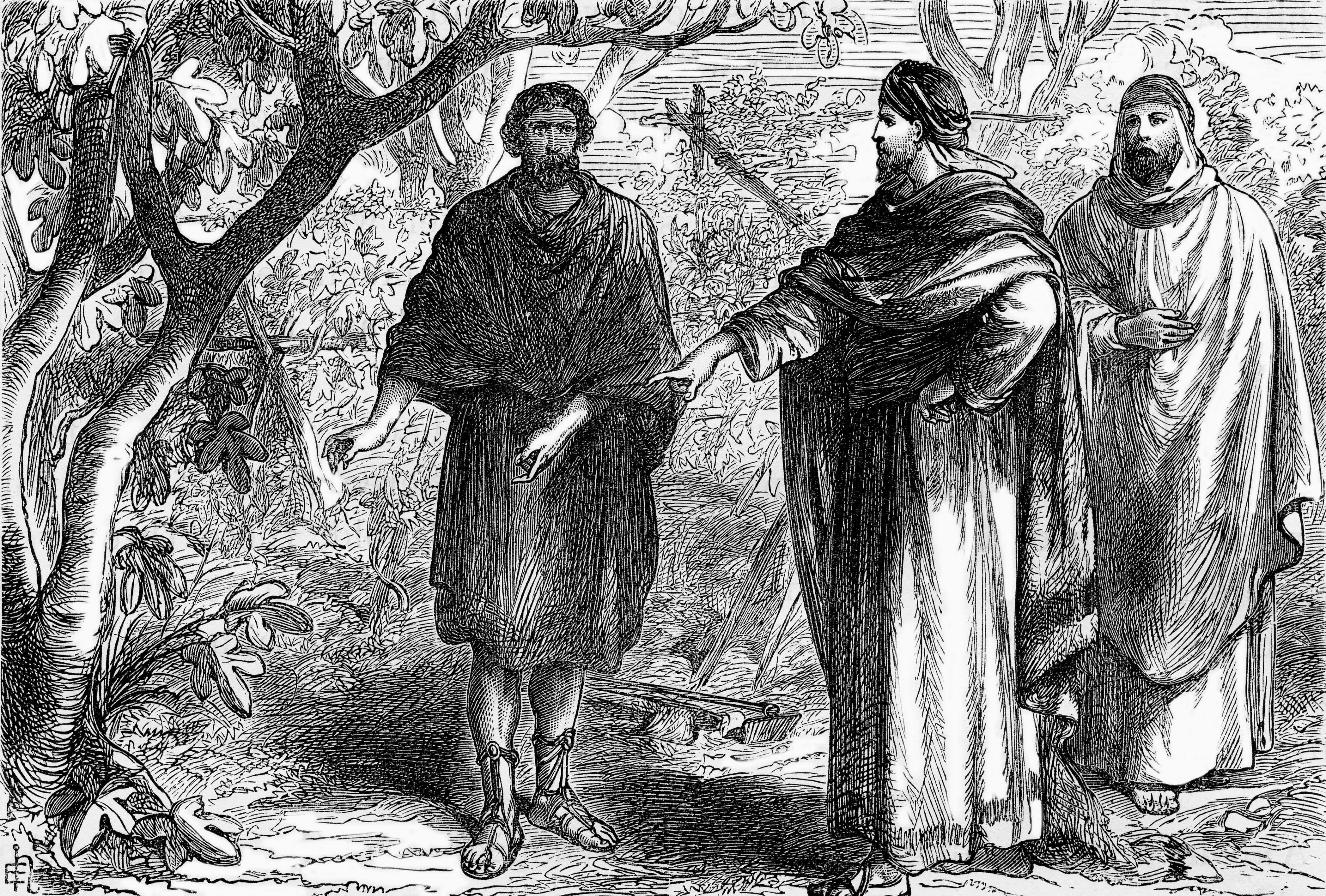 Jesus Curses a Fig Tree Groundwork Bible Study