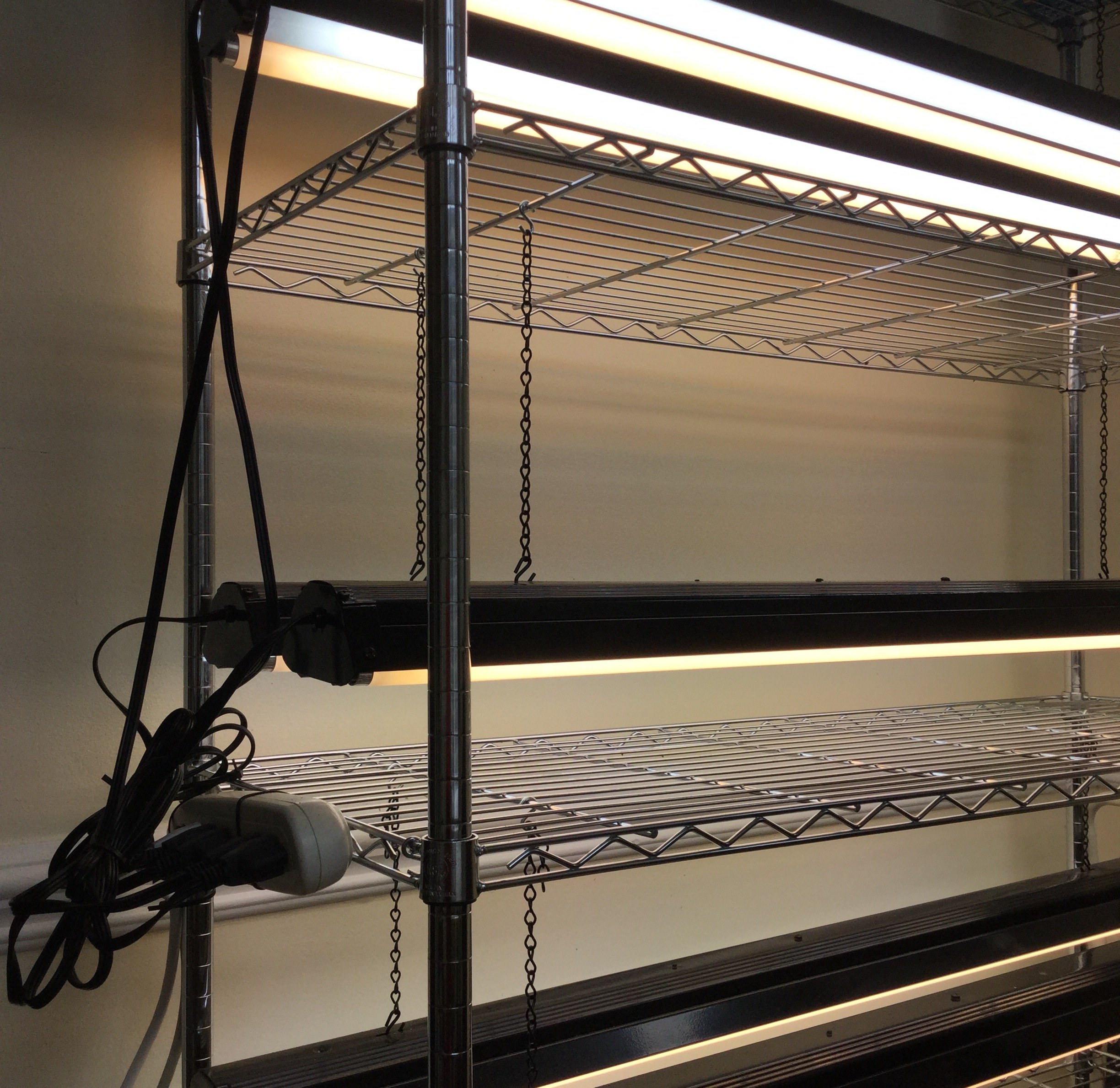 Five Tomato Growing Tricks You Need to Start Using Simple Log