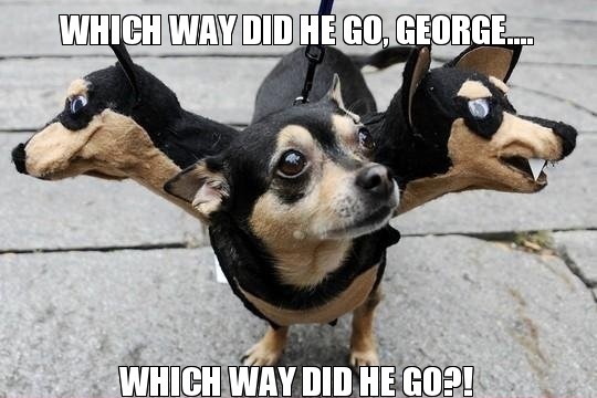GC6JG2W Which way did he go (Traditional Cache) in Minnesota