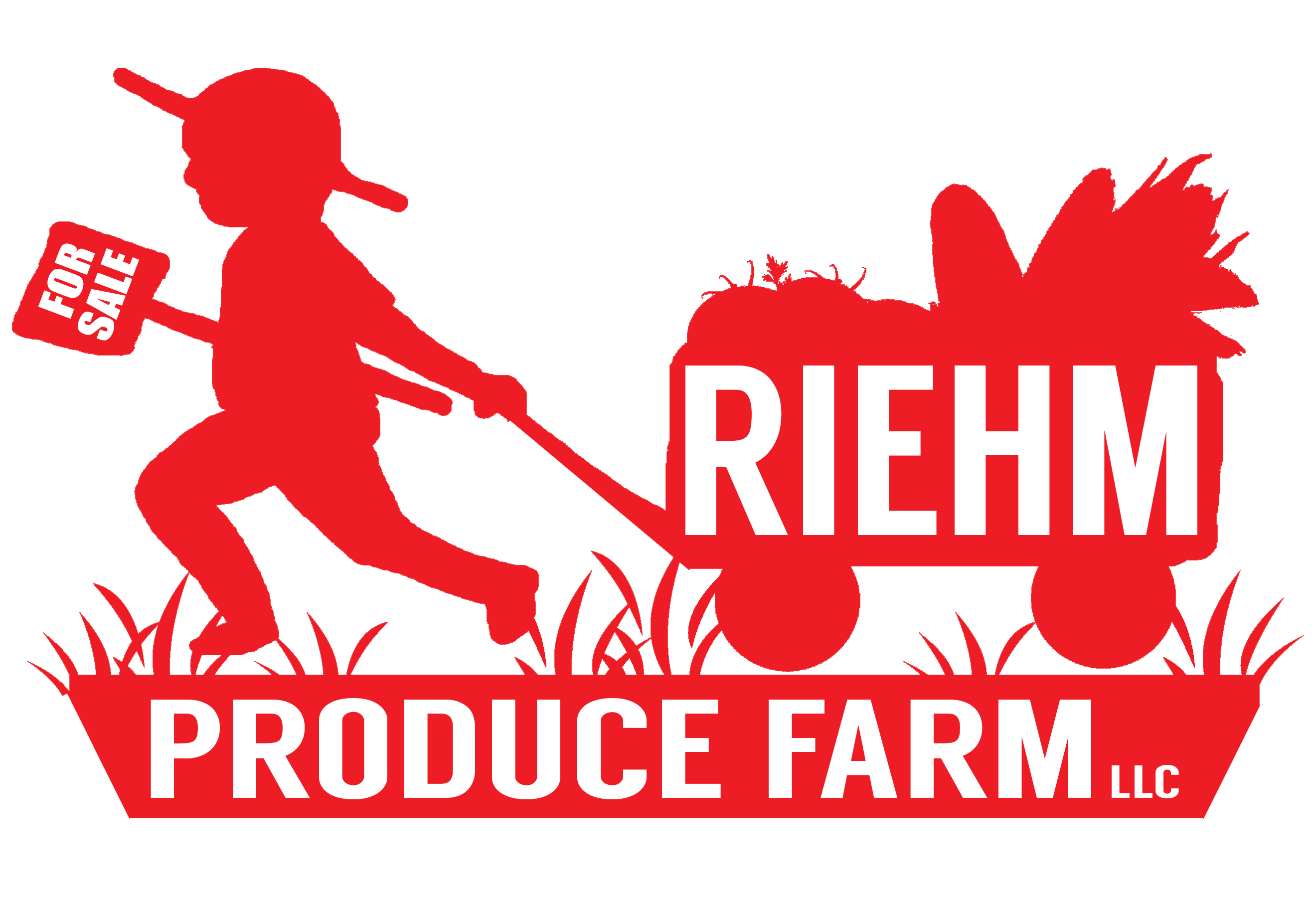 Harvie CSA / farm shares from Riehm Produce Farm
