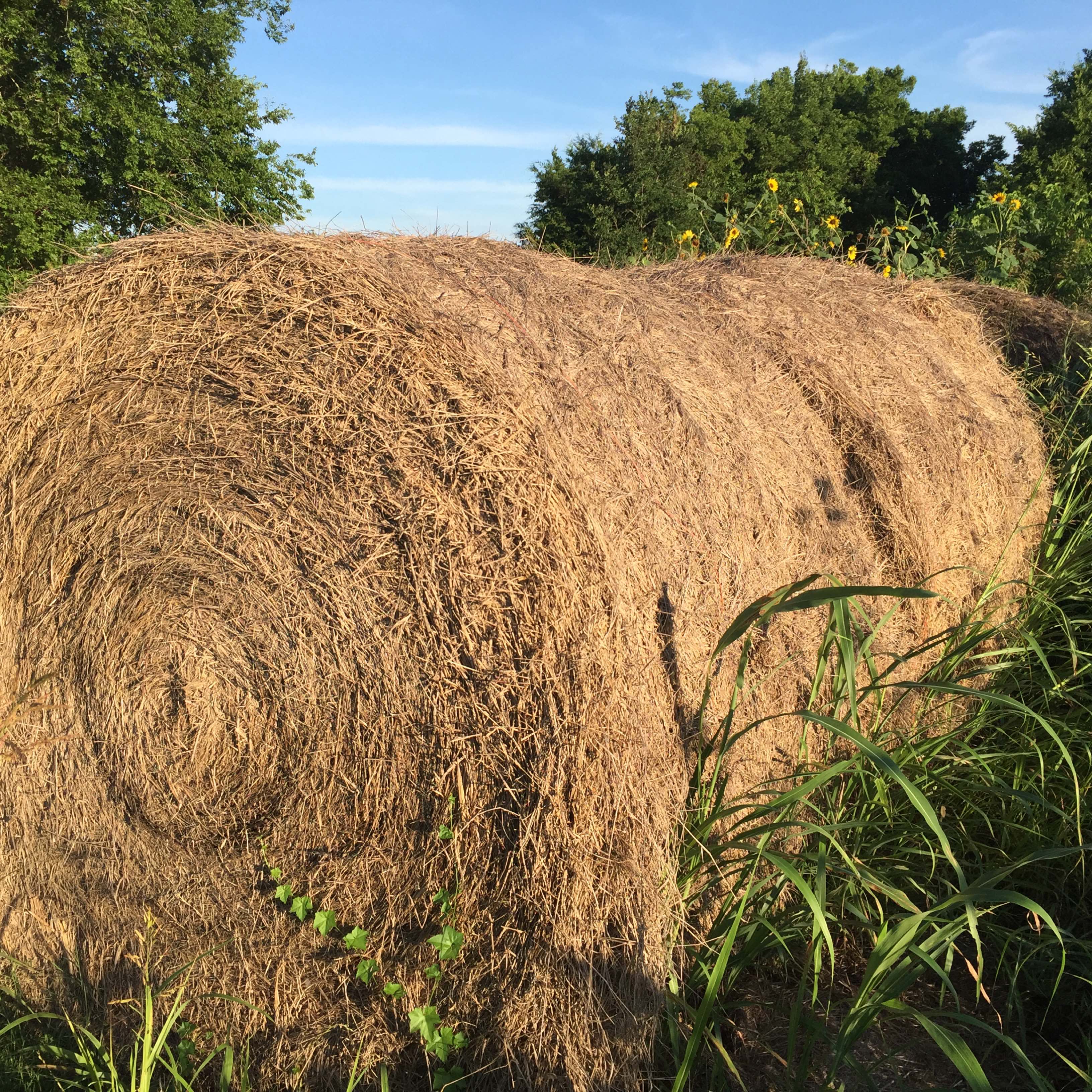 Hay For Sell Hay Map