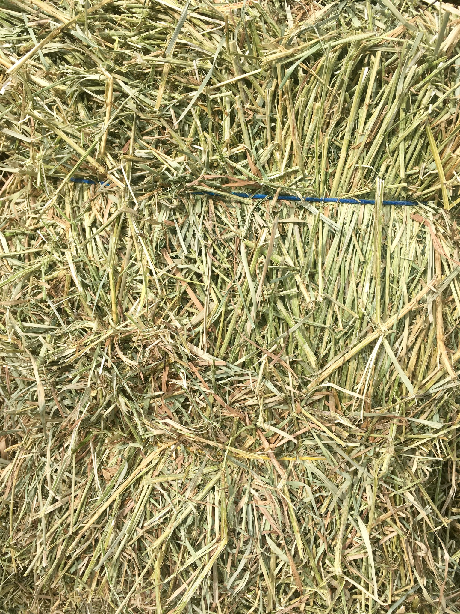 Hay For Sale Hay Map
