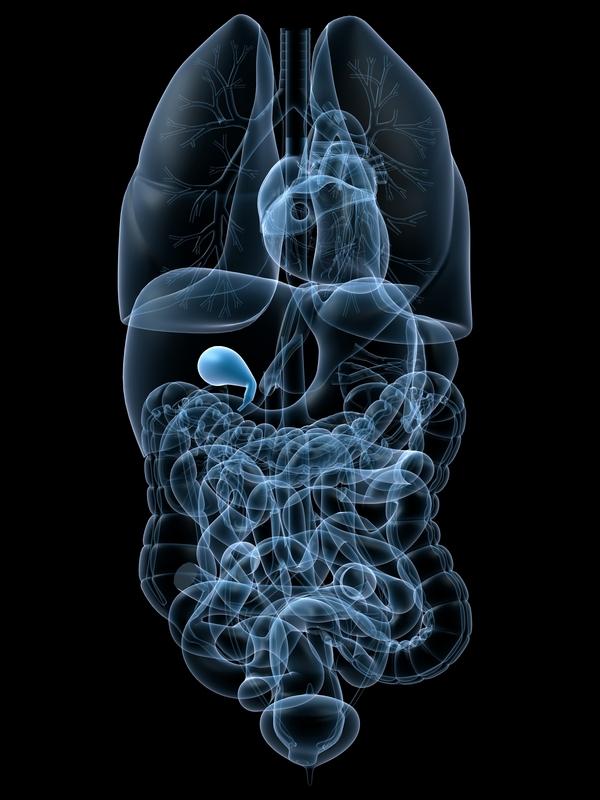 Ge Spectra Gas Stove Gas Pain After Surgery How Long Does It Last