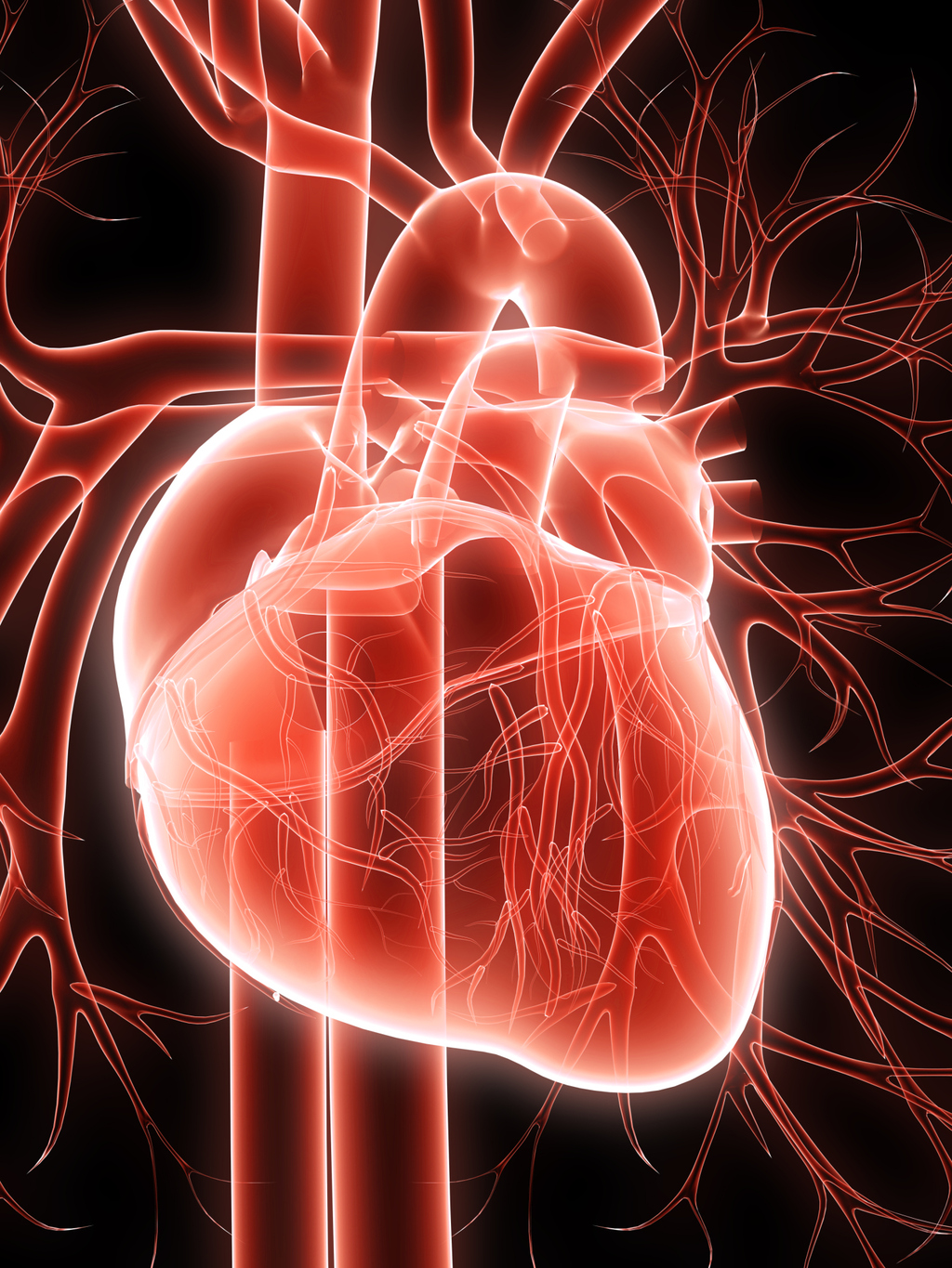 Blood around the heart Answers on HealthTap Blood around the heart Answers on HealthTap
