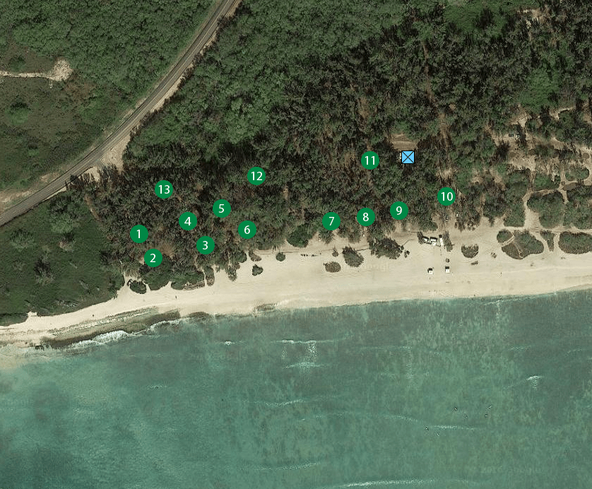 C&C of Honolulu Camping Permits