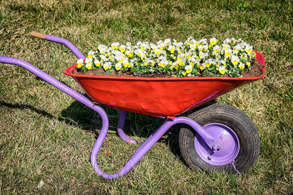 27 Wheelbarrow Flower Planter Ideas for Your Yard Home Stratosphere