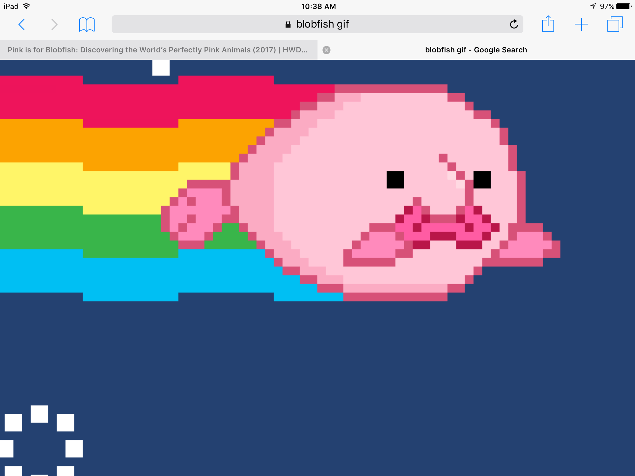 Pink is for Blobfish Discovering the Worldâ€™s Perfectly Pink Animals