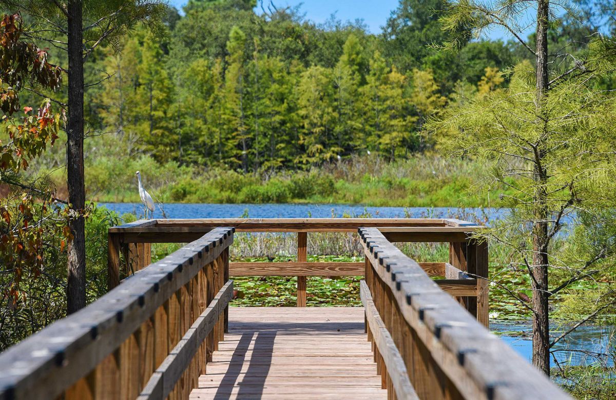 Orchid Lake RV Resort 55+ Active Adult Communities New Port Richey, FL