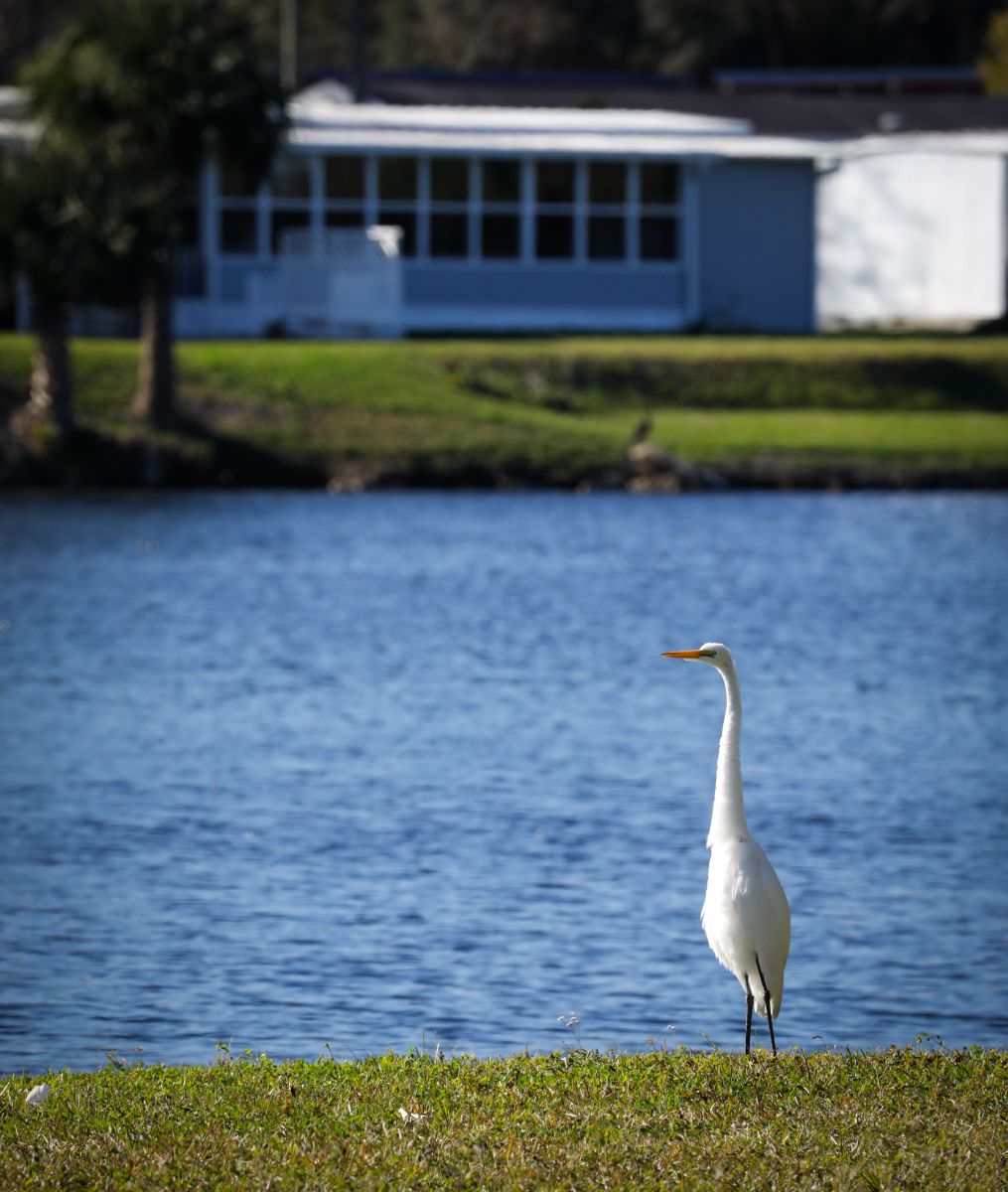 Lakeview Estates 55+ Active Adult Communities South Daytona, FL