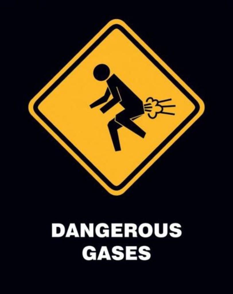 Dangerous Gases Hazardous Fart Humor Funny College Warning Poster