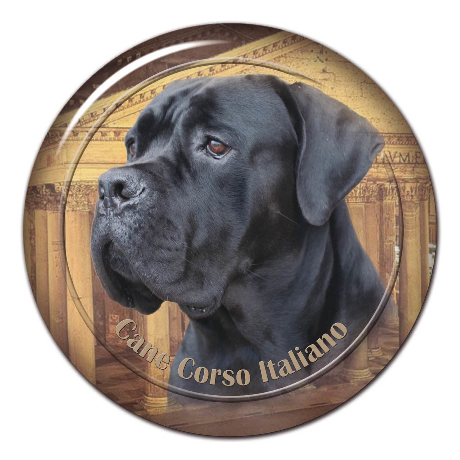 Cane Corso,3D Aufkleber,Hundeaufkleber,Autoaufkleber