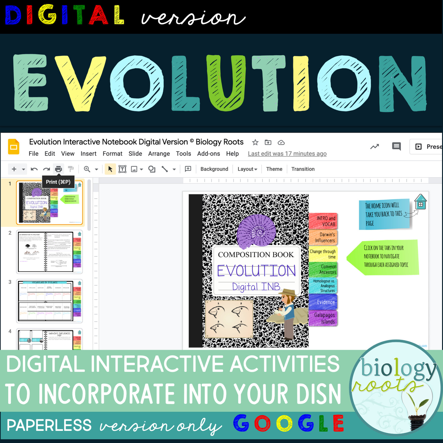 Store Cell Division Digital Interactive Activities