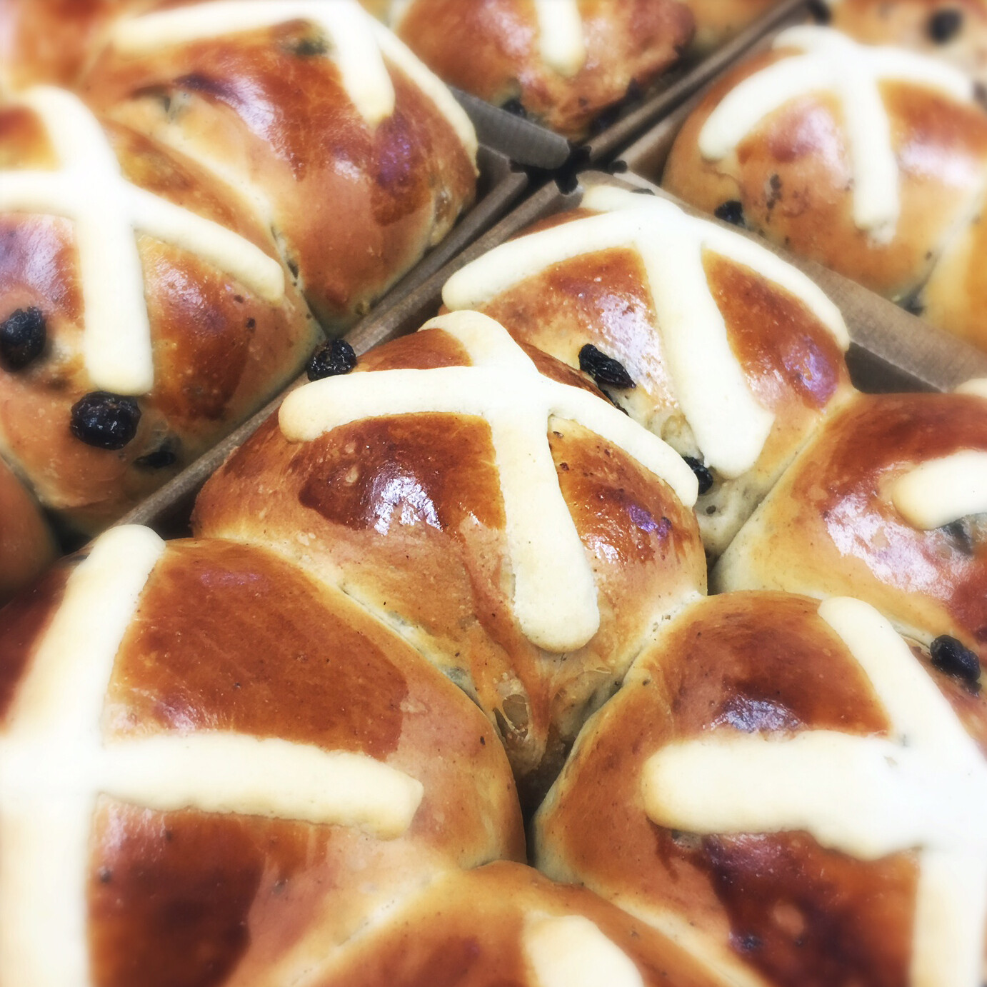 Hot cross buns — tray of 6