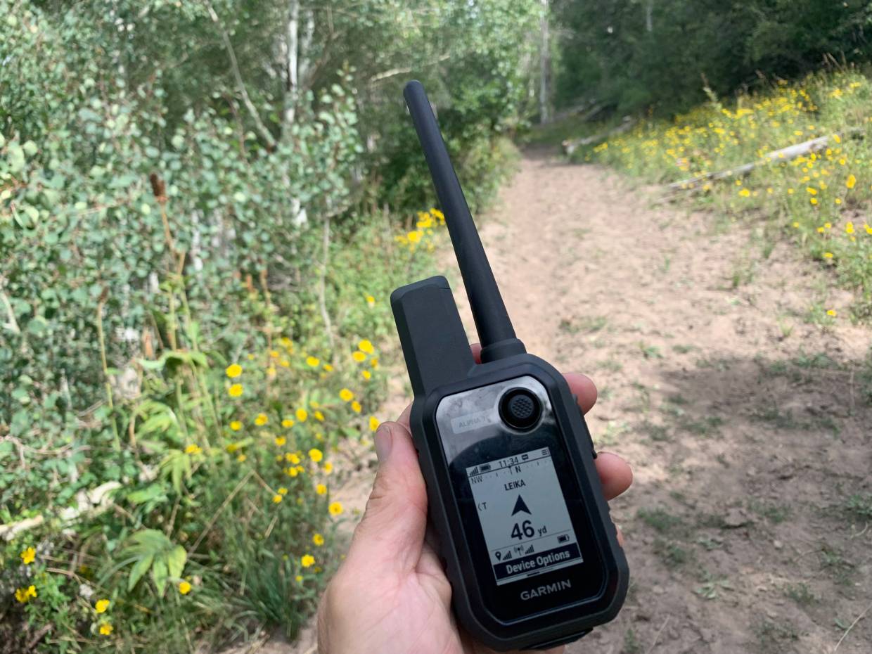 Lojack Your Dog Garmin Alpha 10 GPS Dog Collar First Look GearJunkie