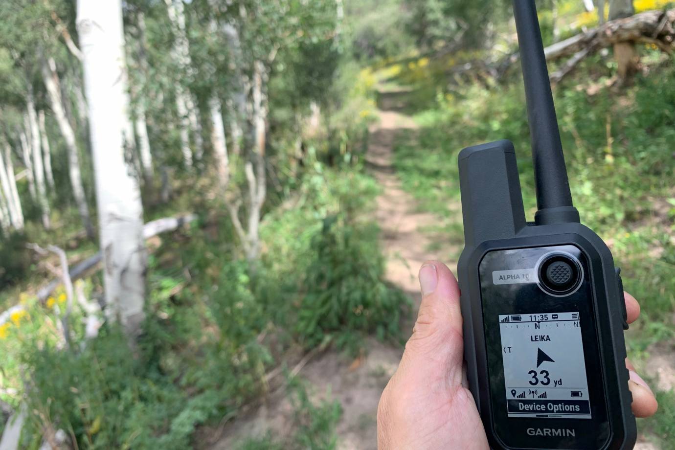 Lojack Your Dog Garmin Alpha 10 GPS Dog Collar First Look GearJunkie