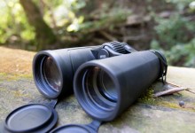Low-Light Performance in a Compact Package: ZEISS SFL 10X50 Binocular Review