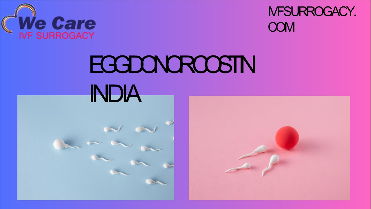 PPT Egg Donor Cost in India Comprehensive Pricing Guide PowerPoint