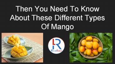 PPT – A True Mango Fan? You Need To Know About Different Types Of Mango