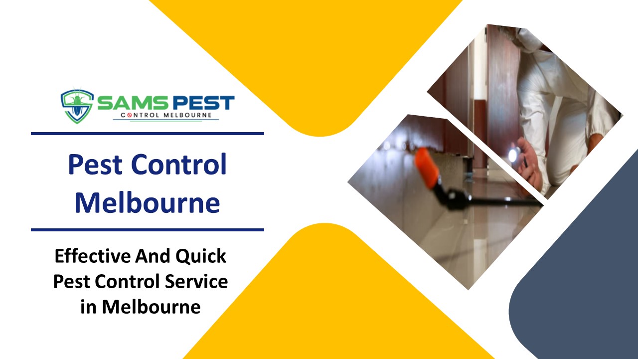 PPT Sams Pest Control Melbourne PowerPoint presentation free to