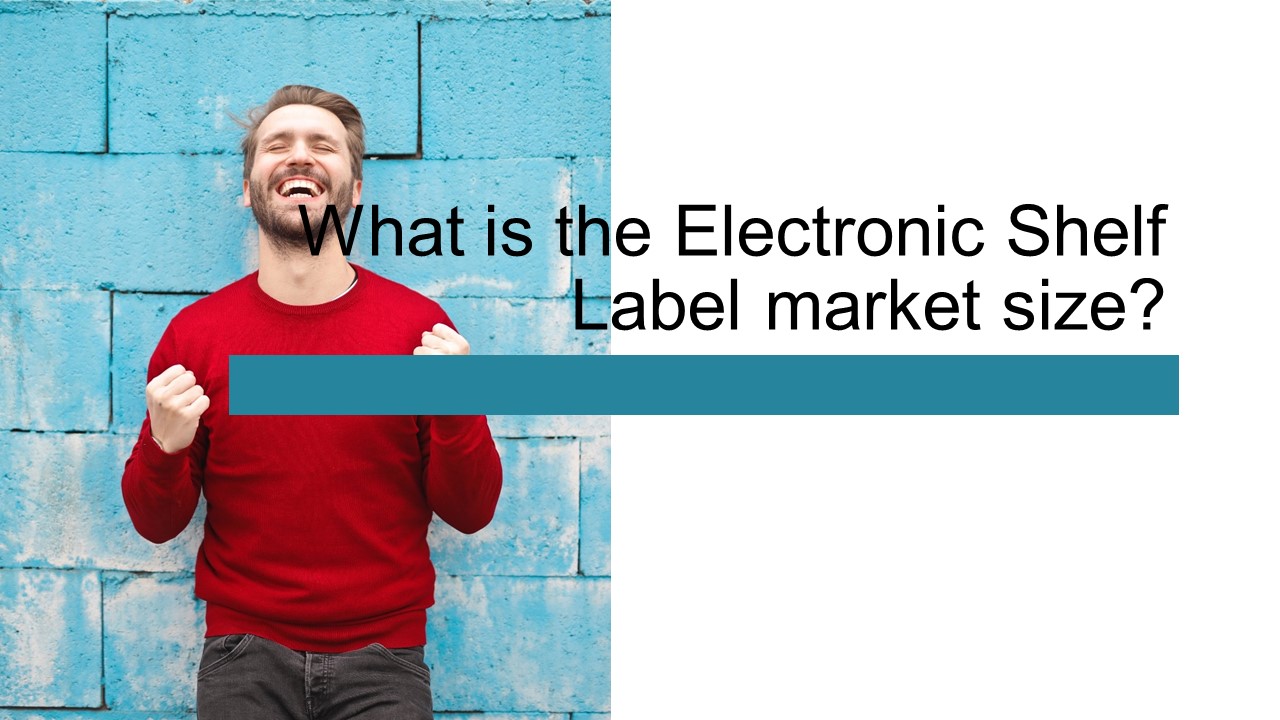 PPT What is the Electronic Shelf Label market size? PowerPoint