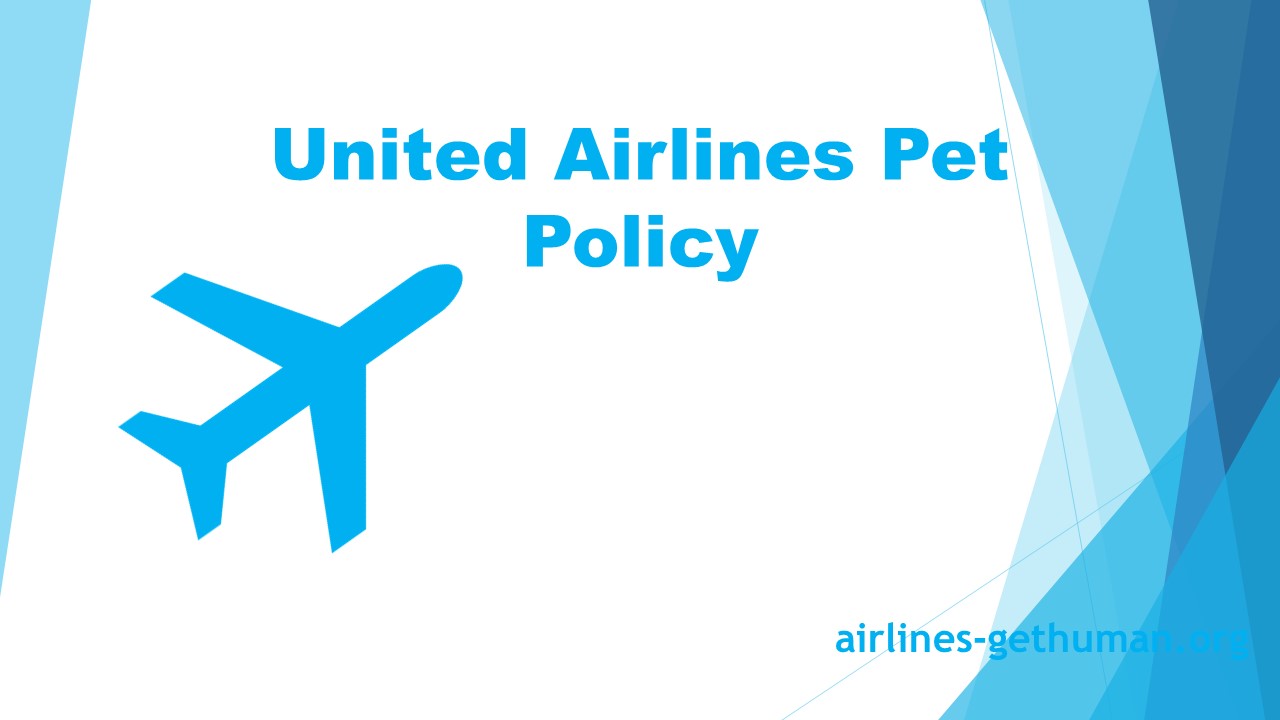 PPT United Airlines Pet Policy PowerPoint presentation free to