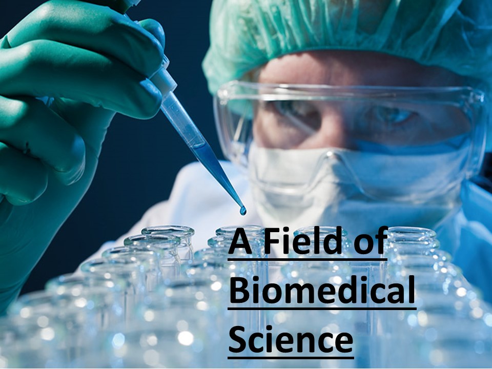 PPT A Field of Biomedical Science PowerPoint presentation free to