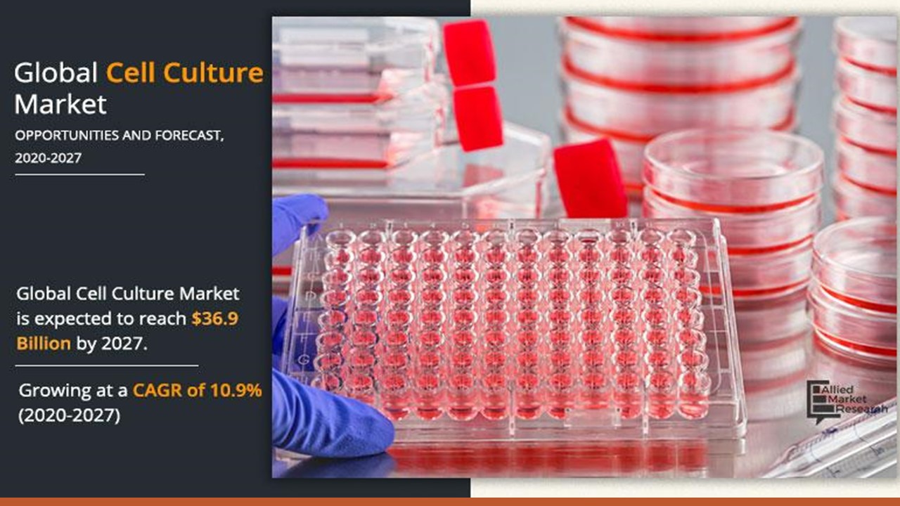 PPT What is Cell Culture? PowerPoint presentation free to download id 959faaOWY2Y