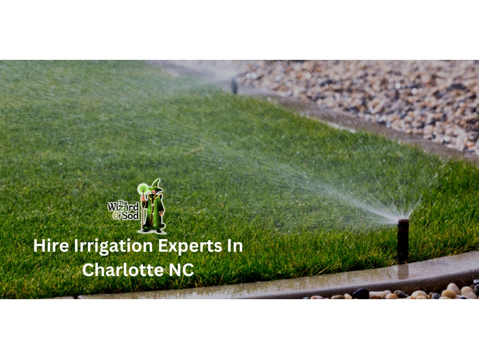 PPT Hire Irrigation Experts In Charlotte NC PowerPoint presentation