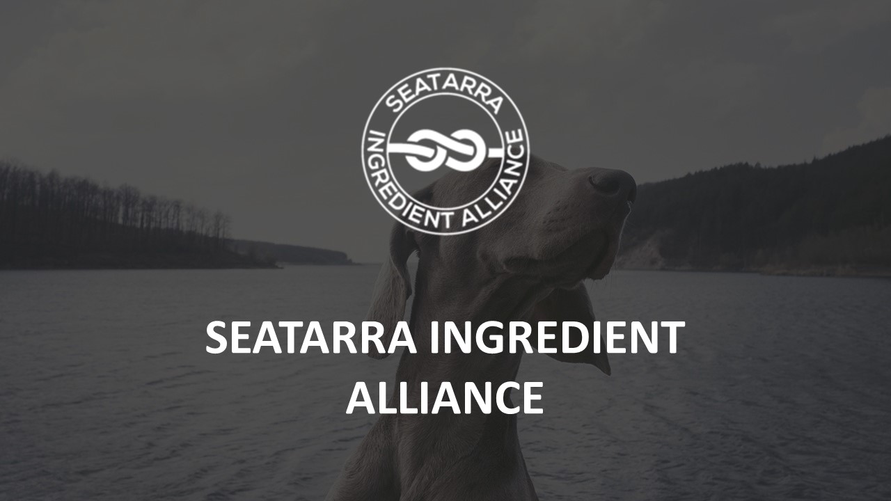 PPT Seatarra Pet Food Ingredient Suppliers And Distributors