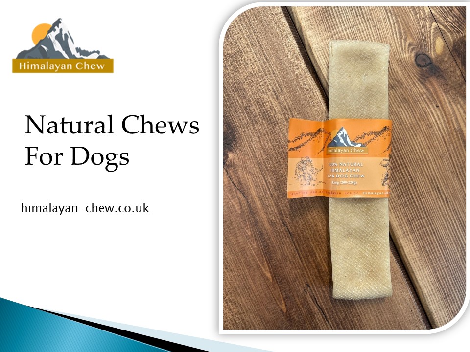 PPT Natural chews for dogs PowerPoint presentation free to download