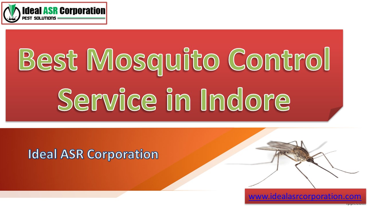 PPT Best mosquito control Service in Indore Ideal ASR PowerPoint