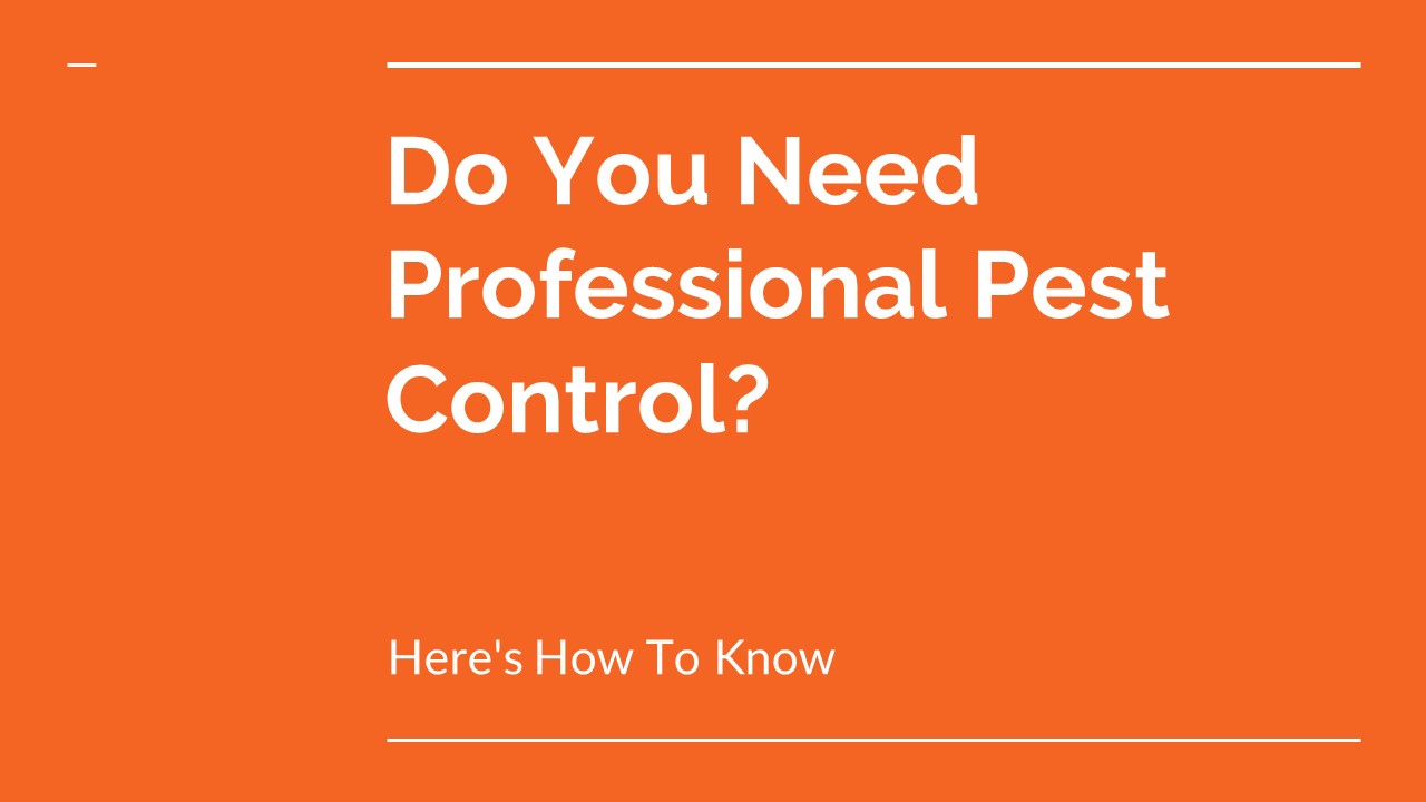 PPT Pest Control Richmond PowerPoint presentation free to download