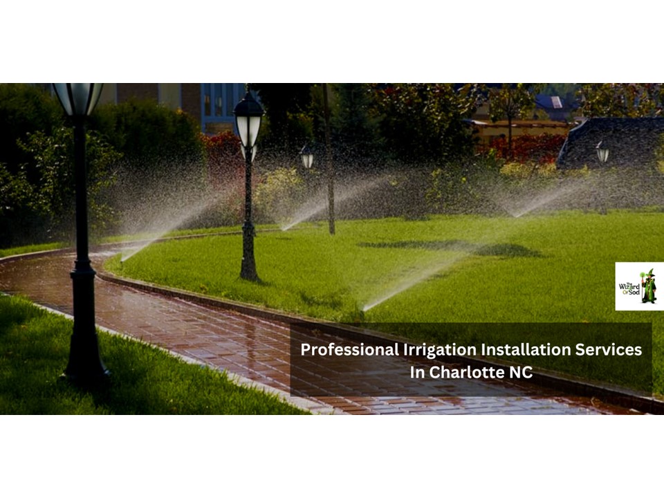 PPT Professional Irrigation Installation Services In Charlotte NC