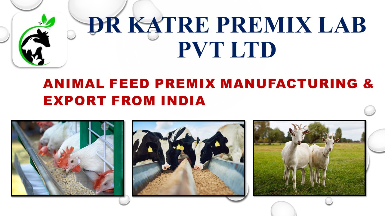 PPT Animal feed Premix Manufacturing & Export from India PowerPoint