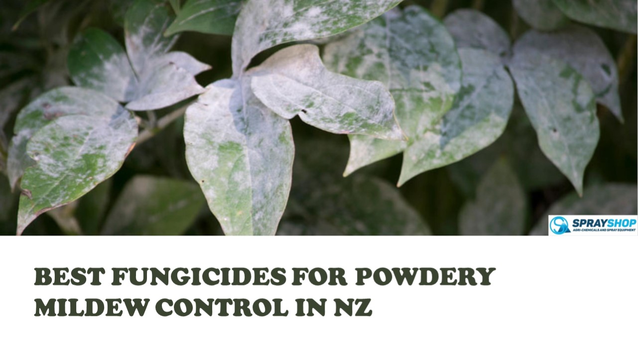 PPT Best Fungicides for Powdery Mildew Control in NZ PowerPoint