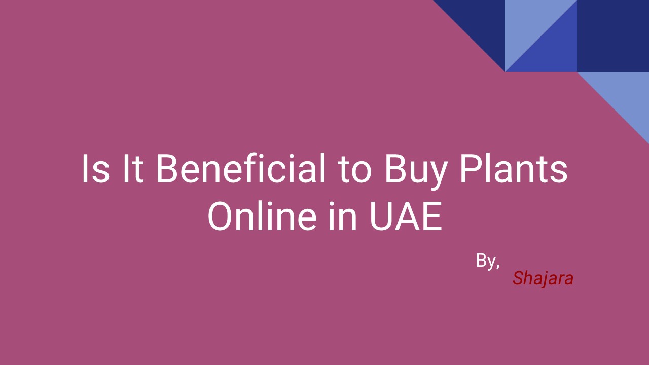 PPT Is It Beneficial to Buy Plants Online in UAE PowerPoint