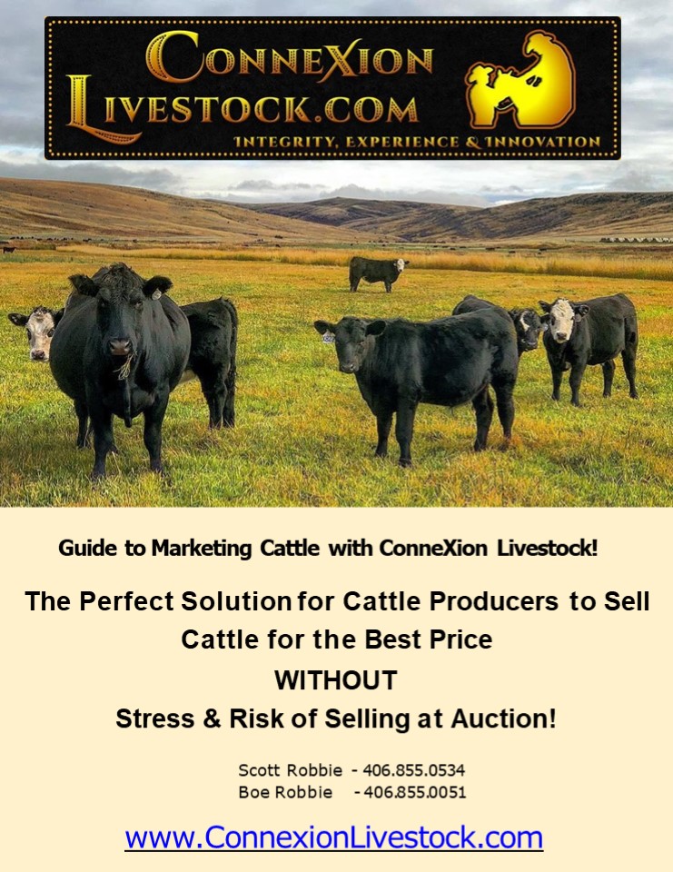 PPT Guide to Marketing Cattle with ConneXion Livestock! PowerPoint