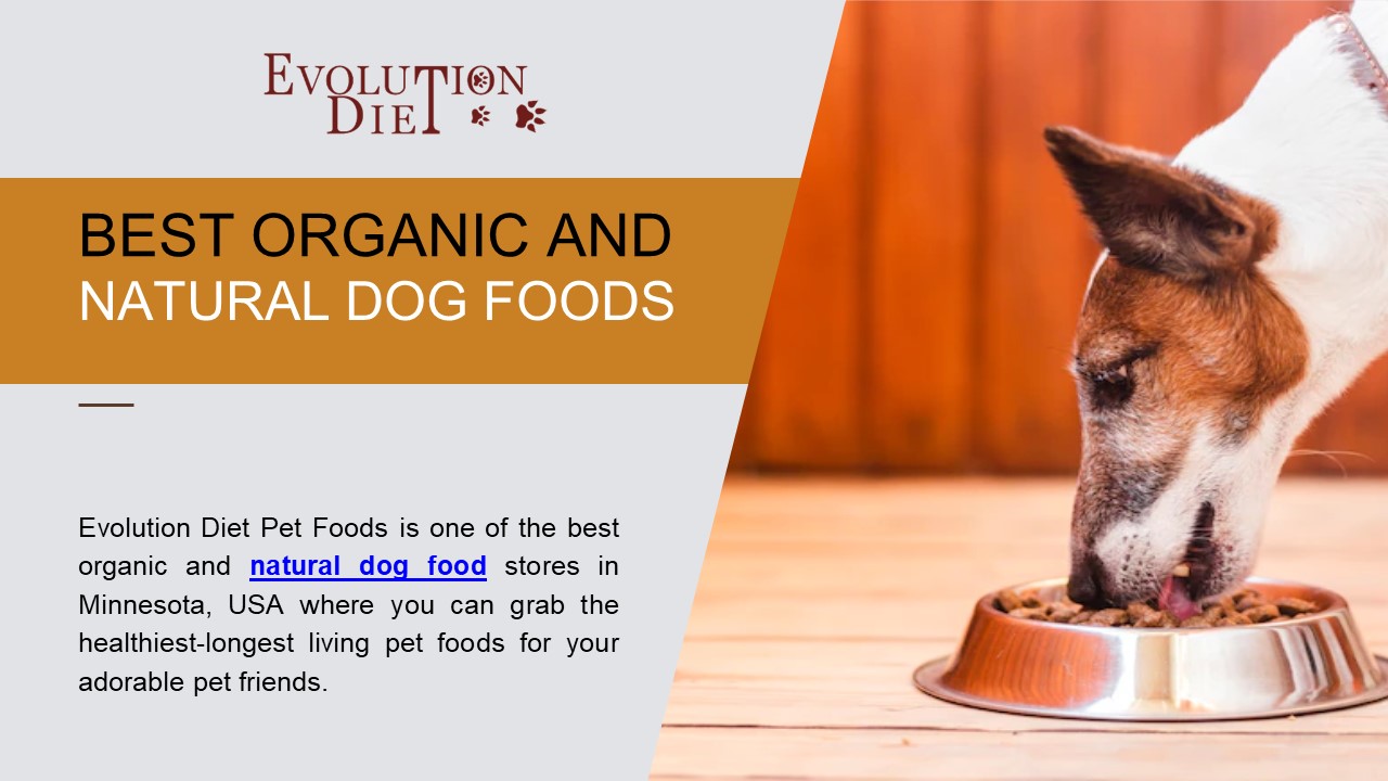 PPT Best Organic and Natural Dog Foods PowerPoint presentation free