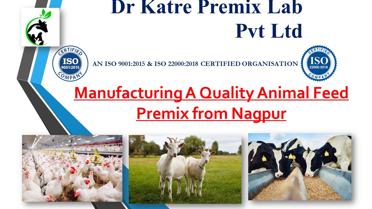 PPT Manufacturing A Quality Animal Feed Premix from Nagpur PowerPoint presentation free to