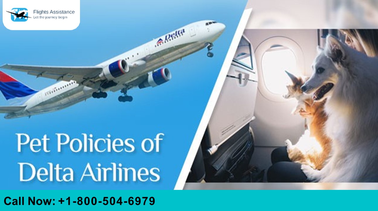PPT Pet Policies of Delta Airlines PowerPoint presentation free to