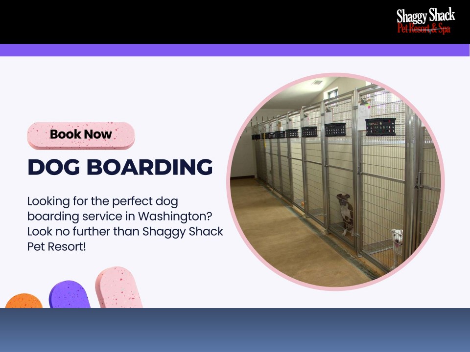 PPT Looking for the perfect dog boarding service in Washington