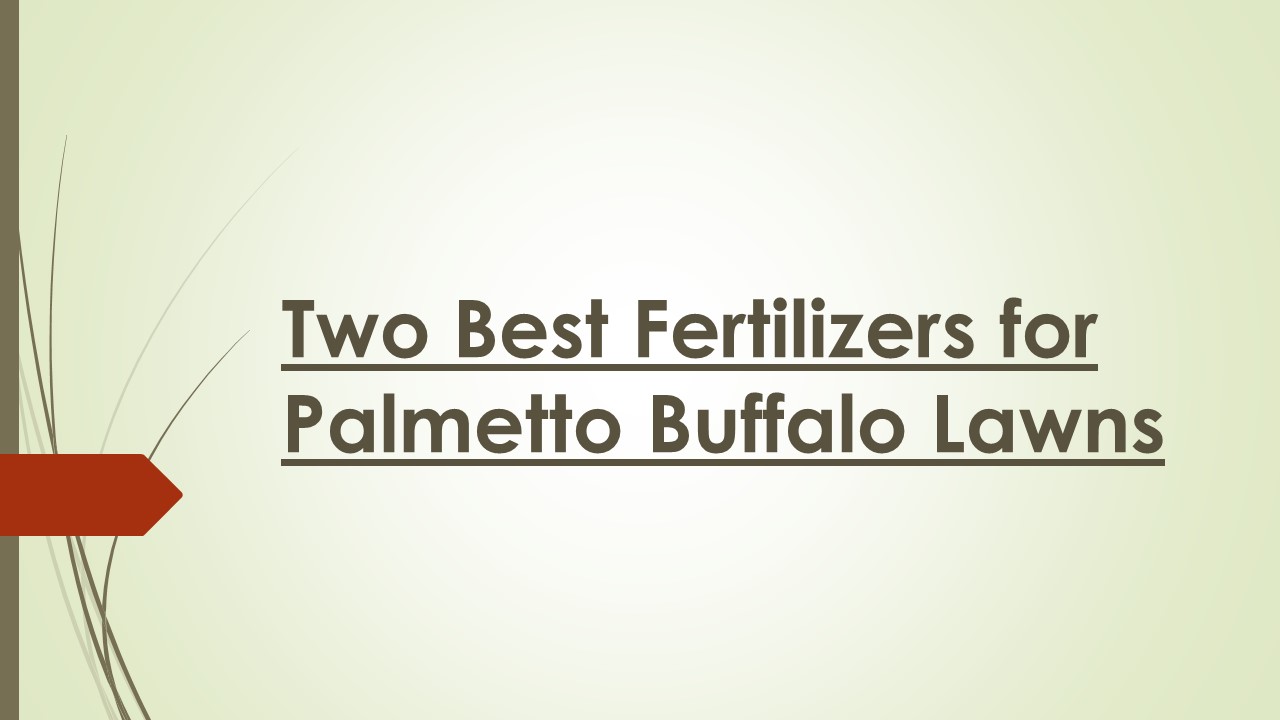 PPT Two Best Fertilizers for Palmetto Buffalo Lawns PowerPoint