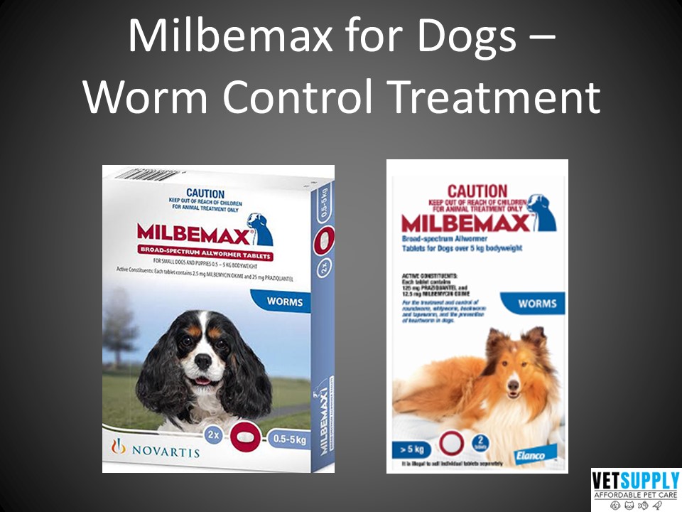 PPT Milbemax for Dogs Worm Control Treatment Broad Spectrum