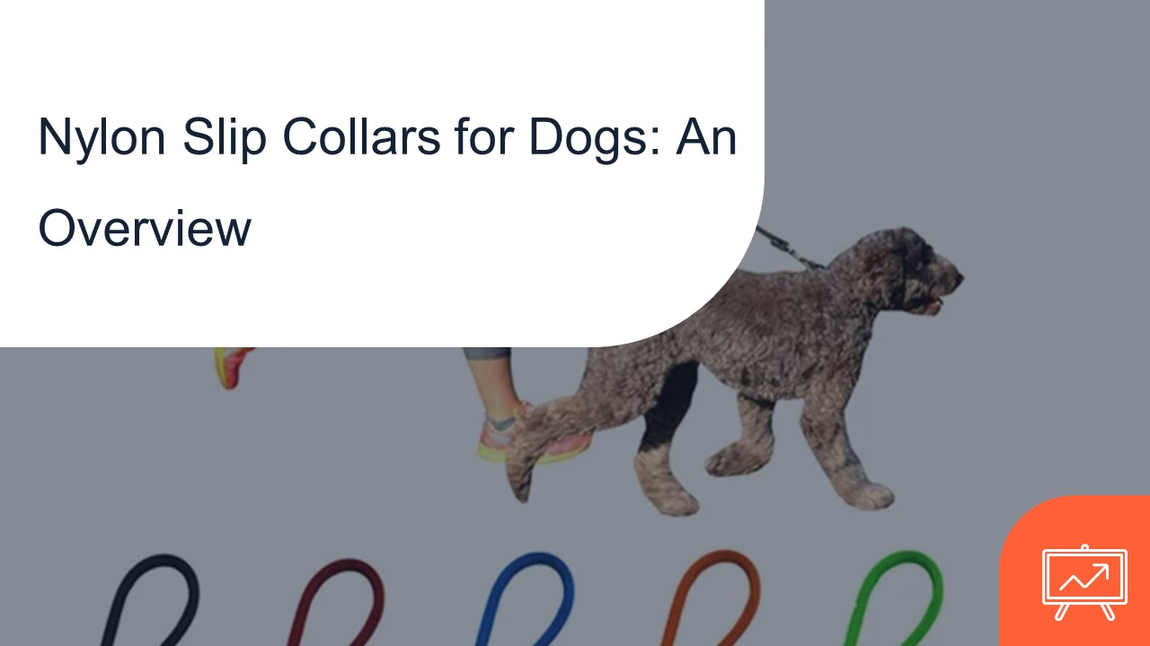 PPT Nylon Slip Collars for Dogs An Overview PowerPoint presentation