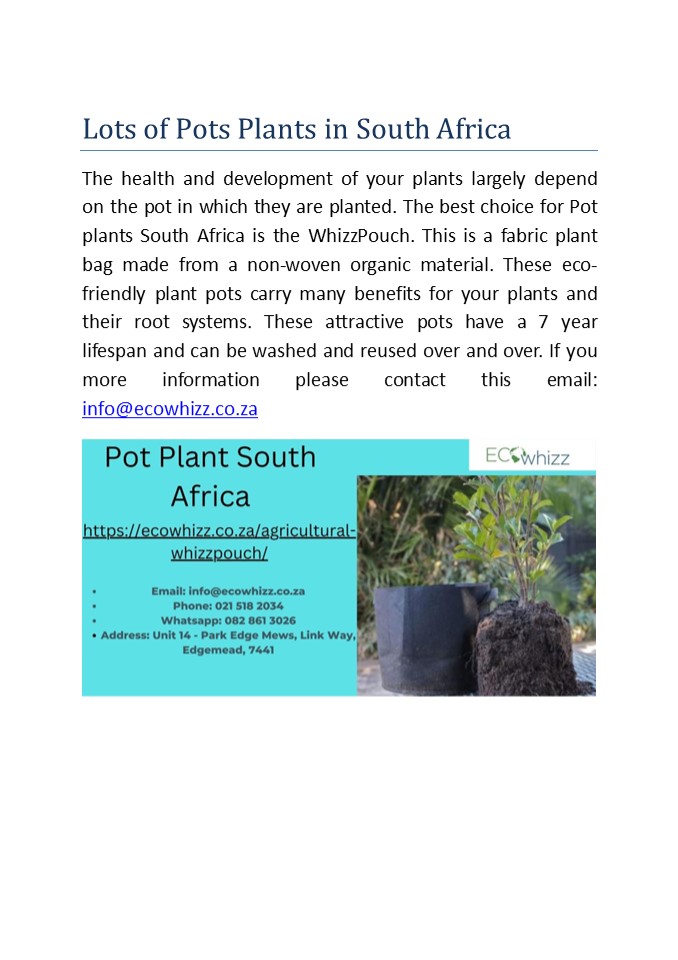 PPT Lots of Pots Plants in South Africa PowerPoint presentation