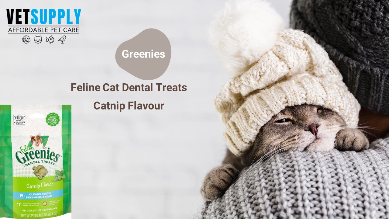 PPT Greenies Feline Dental Treats Catnip Flavour For Cats 60G