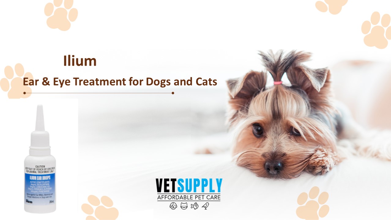 PPT Ilium Ear Drops 20ml VetSupply PowerPoint presentation free to download id 9660a9OTUzM