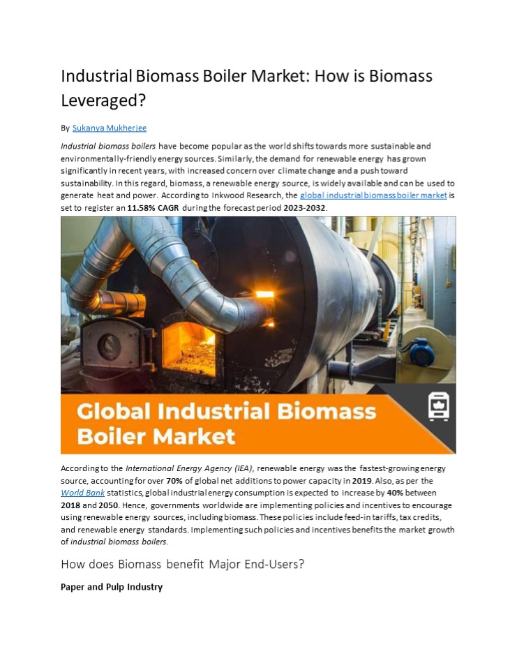 PPT Industrial Biomass Boiler Market How is Biomass Leveraged? PowerPoint presentation free