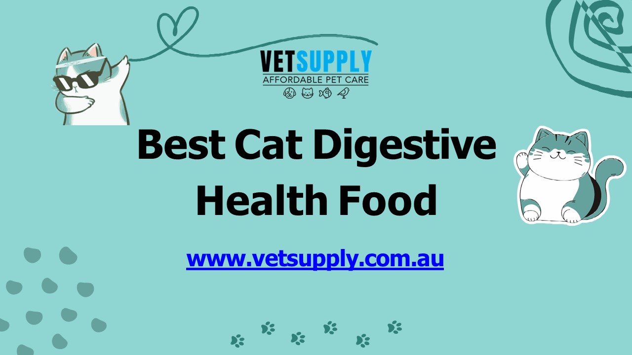 PPT Cat digestive health Cat digestive health food VetSupply