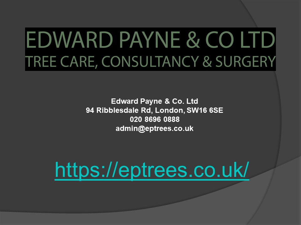 PPT Edward Payne and Co PowerPoint presentation free to download